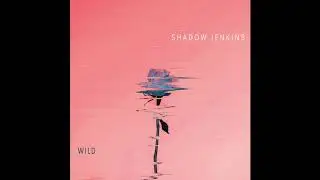 WILD - Shadow Jenkins