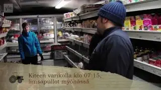 Paluumuuttajat Hermanni ja Sanne