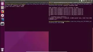 Demo TCP Ping | Sockets in C (Ping to localhost) Server - Client