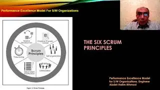 Performance Excellence Model for S/W Organizations
