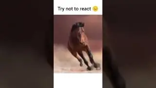 Try not to react 😑#7 #shorts#funny#viral