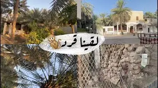 فلوق المزرعة  في الاحساء 👩‍🌾🌴 