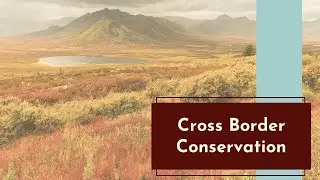 Cross Border Conservation