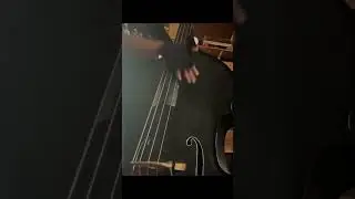 ウッドベース　スラップ #bass #rockabilly #doublebass #tololoche #psychobilly #music #rockabilly #jazz #bass