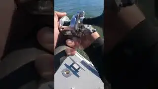 Big Striped Bass Caught In New York City!