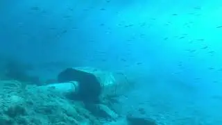 Snorkel diving in Lanzarote (Playa Blanca - Atlantic Gardens). Oct 2025