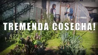 LA HUERTA entre cosechas, charlas y risas. Creo que Fabio necesita ayuda...