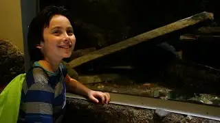 National Amphibian Conservation Center | DPTV Digital Adventure