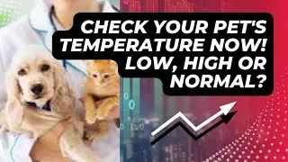 Check your pet's temperature now!Low, High or Normal?