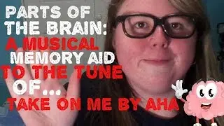 My Memory Aid For Intro Psych 100: Parts Of The Brain Sung To The Tune Of Take On Me | Paige