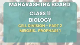 Class 11 | Biology - Cell division Part 2 : Meiosis.. Prophase 1 | Maharashtra Board