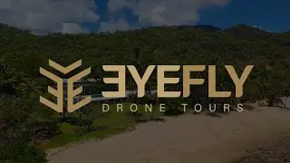 🌴 Tropical Beachfront Drone Tour | Turtle Cove Beach Resort 🏝️