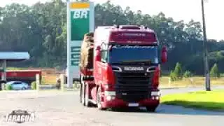 M.S v&iacute;deo canal YouTube #caminh&atilde;o FH  🚚🚚🚚🚚