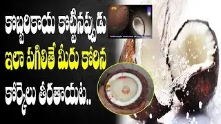 కొబ్బరికాయ ఇలా పగిలితే అంత శుభమేనట Must Known Facts Before Breaking Coconut | M6tv