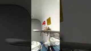 samastipur to old Delhi.  2th ace coach