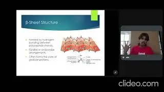 Protein Structures and Levels of Organisation 