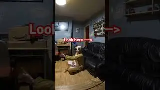 Ghost Creature Caught on Camera!