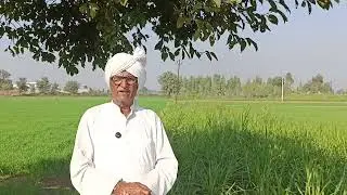 पति ने बदचलन पत्नी की हत्या करने के लिए दी 3लाख की सुपारी पत्नी ने उन्हीं को 5लाख देकर करवा दी पति 