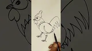 Easy Rooster Drawing  #shorts #short #shortvideo
