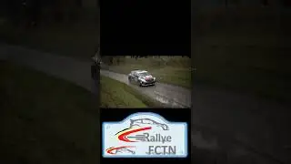 Rallye van Haspengouw 2025 - Crash  #brc #codriver #rally