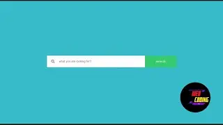 search box html css  webcoding junior