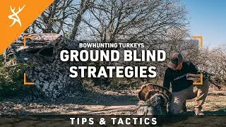 Ground Blind Strategies for Bowhunting Turkeys