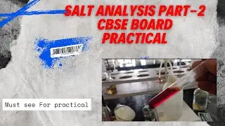 Confirmation test Of Acidic radicals test of dil. Sulphuric acid group | Chemistry Practical Class