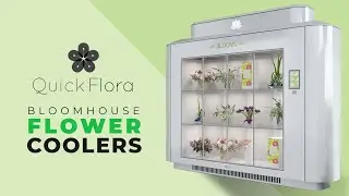 Цветочный торговый автомат BloomHouse &ndash; информационный вебинар