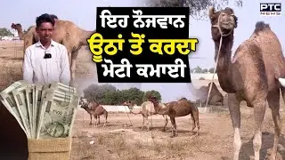 Rajasthan Nagaur Fair 2026 : 19 ਸਾਲਾਂ  ਇਹ  ਨੌਜਵਾਨ ਊਂਠ ਵੇਚ ਕੇ ਮਹੀਨੇ ਦੀ ਕਰਦਾ ਮੋਟੀ  ਕਮਾਈ