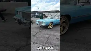 74 donk on brush gold Rucci wheels #donks #rucciforged i
