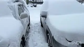 Snow in Tennessee 1/31/26