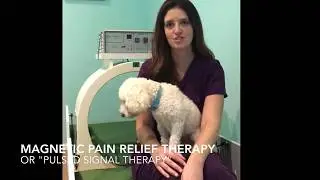 Magnetic Pain Relief Therapy (Pulsed Signal Therapy) .