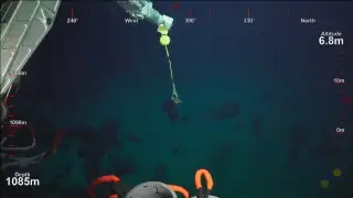 ROV SuBastian Dive 068 - Unnamed Seamount- Deep Sea Corals of PIPA