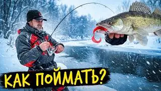 Снежная пурга как на Камчатке, как поймать щуку на джиг в эту погоду? Зимний спиннинг. [Пора ловить]