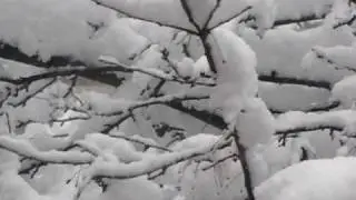 Snow in NJ (2-10-10) part 4...