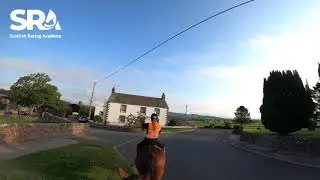 Your Guide to Horse Riding / Road Safety