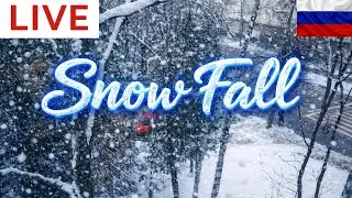 Live Snowfall #russia | stunnign view of #moscow Street