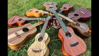 Rainbow Connections --ukulele cover of Muppet's Kermit the Frog