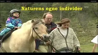 Herdalssetra, back to Nature