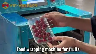 WIN WIN PACK High-Efficiency Smart Food Wrapping Machine &mdash; WWP Series (T15 / T11)