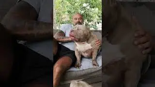 Me and my boy MR.CUB extreme american bully pocket The biggest &icirc;n The WORLD