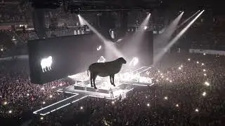 Roger Waters – Sheep @Palacio de los Deportes, CDMX, México