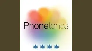 Minimal Business Alert Tone SMS