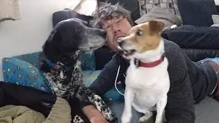 When Animal Selfies Go Wrong - Allan Dixon and a Crazy Dog - #DaxonsAnimalSelfies 001