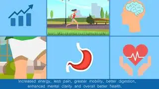 C360 Health - How Our Products Work To Bring You And Your Pets Optimal Health