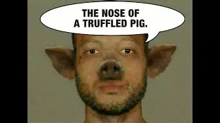 🐽 Keep Your Nose Out of Other People's Business ‼️