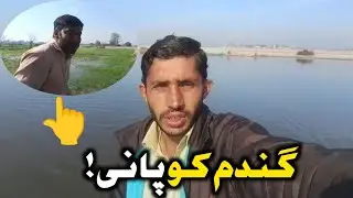 دریا کے پار گندم کو پانی لگایا | Wheat Irrigation Vlog | شعیب علی دا بلاگز