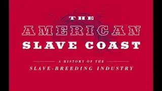 The American Slave Coast Part 29