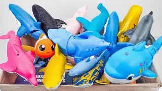 [🐋toy asmr🐋] ZURU Robo Whale & Sea Monsters & Blue Shark & Ocean Dinosaur Battle ASMR 🌟 Review Toys