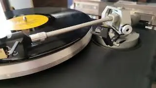 Dual CS5000 turntable (1985-1992), Pickering XV5-625 cartridge with a Vivid contact line stylus.